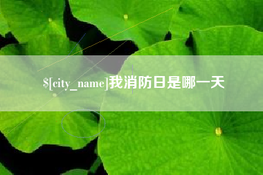 昭通我消防日是哪一天