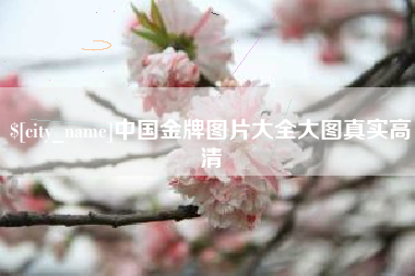 昭通中国金牌图片大全大图真实高清
