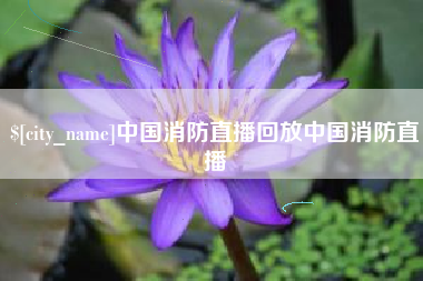 昭通中国消防直播回放中国消防直播