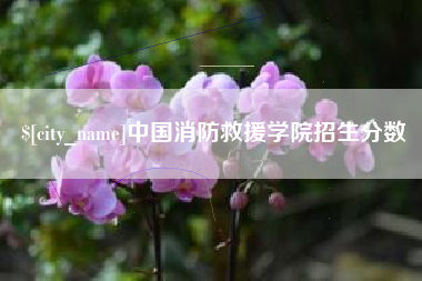 昭通中国消防救援学院招生分数