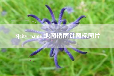 昭通地图指南针图标图片