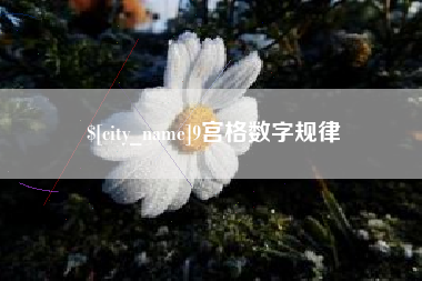 昭通9宫格数字规律