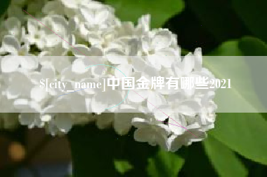 昭通中国金牌有哪些2021