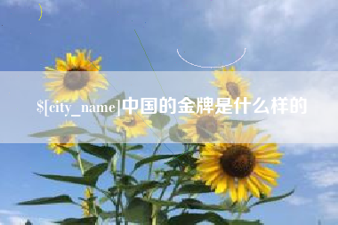 昭通中国的金牌是什么样的