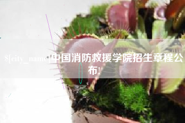 昭通中国消防救援学院招生章程公布!