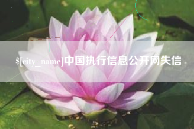 昭通中国执行信息公开网失信