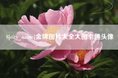 昭通金牌图片大全大图卡通头像