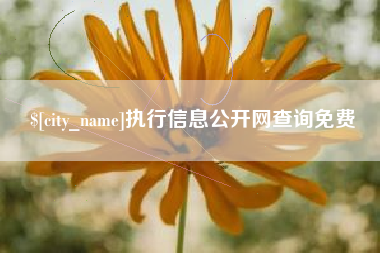 昭通执行信息公开网查询免费