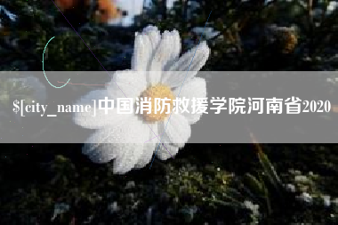 昭通中国消防救援学院河南省2020